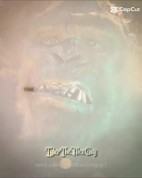 Video by tylertheniceguy1