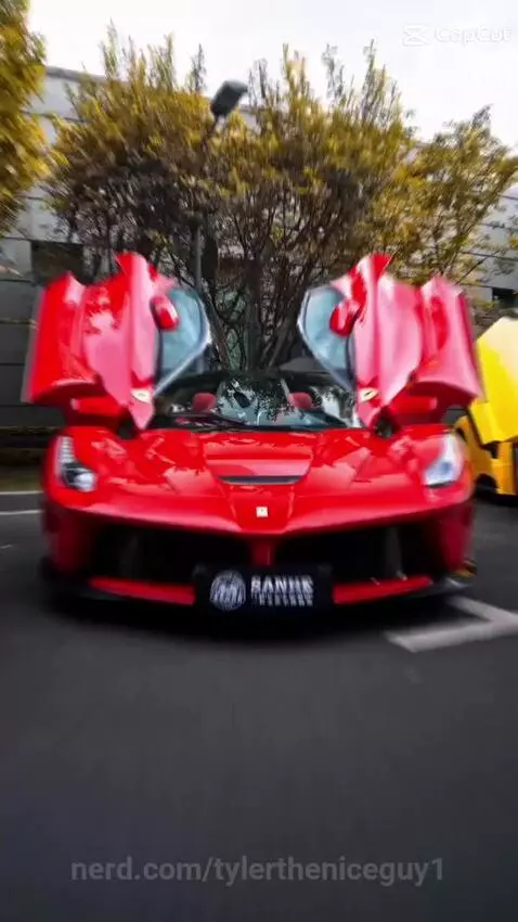 Video by tylertheniceguy1