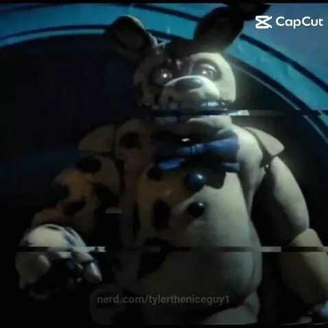 Video by tylertheniceguy1