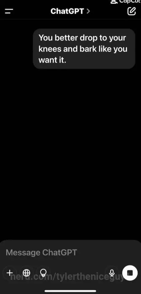 Well that was mean by tylertheniceguy1