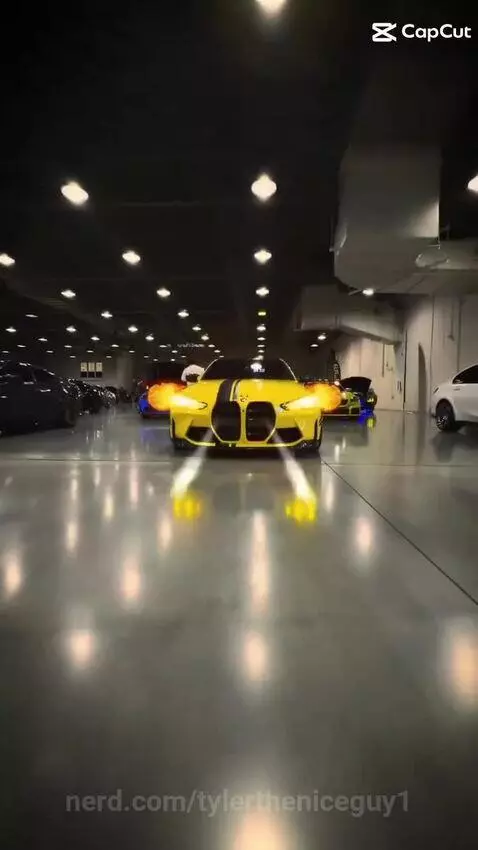 Video by tylertheniceguy1