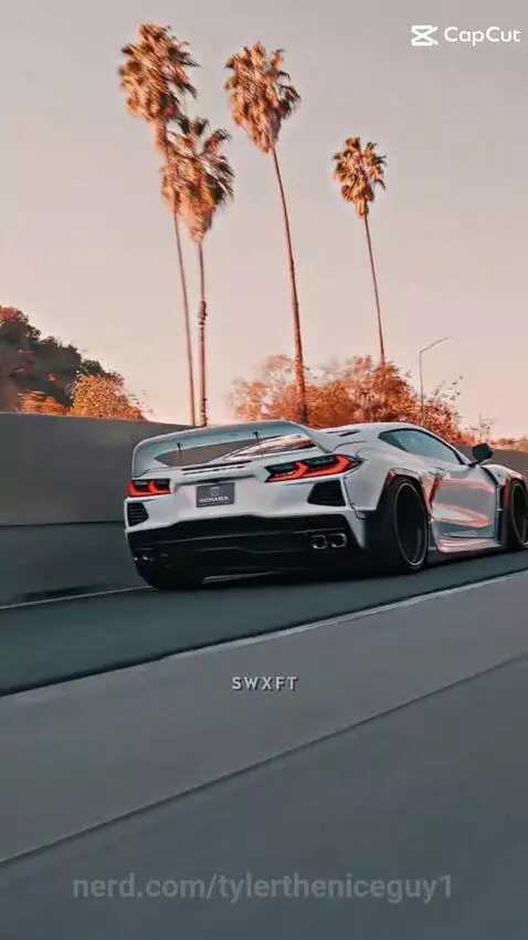 Video by tylertheniceguy1