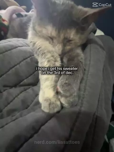 Video by liasattoes