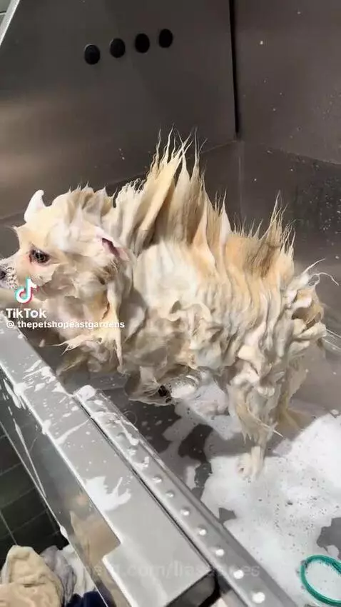 Video by liasattoes