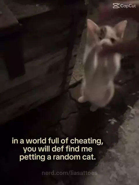 Video by liasattoes