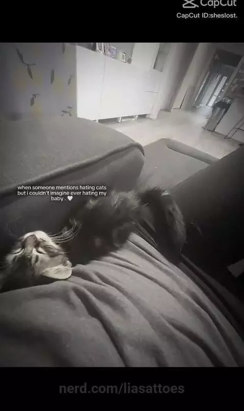 Video by liasattoes