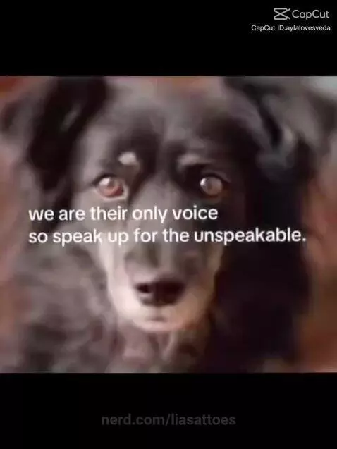 Video by liasattoes