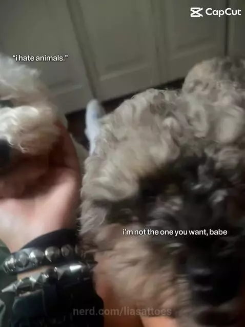Video by liasattoes
