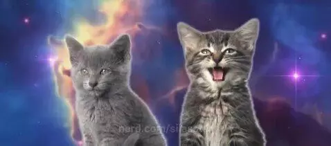 CATS IN SPACE by silasstar