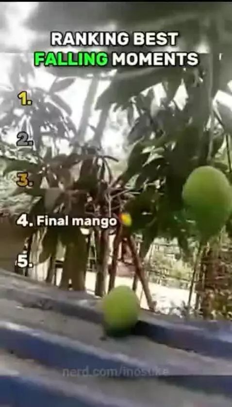 Best falling moments. by inosuke