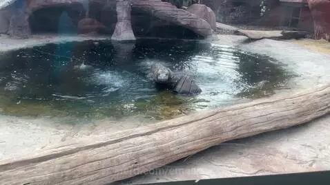 Colchester Zoo! by emespor