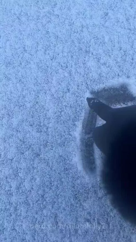 For Parker by dilaralolly2