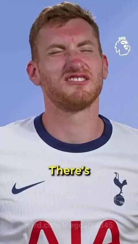 Should pineapple be on pizza? by thegoat12345