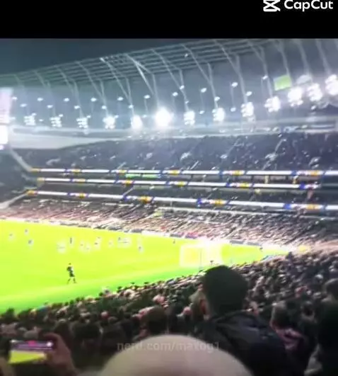 cold, palmer, football by maxog1