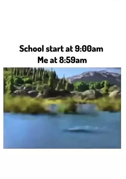 So true by thepetster