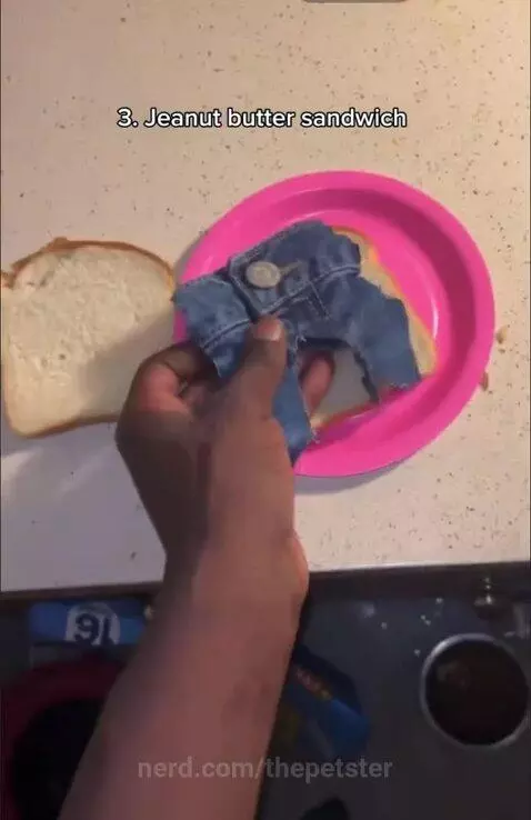 Budget eats lol by thepetster