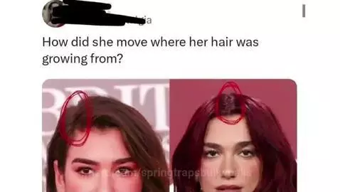 Video by springtrapsbulkyballs