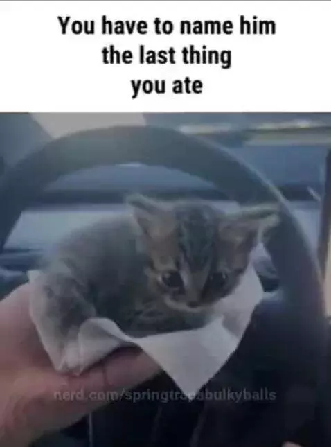 Video by springtrapsbulkyballs