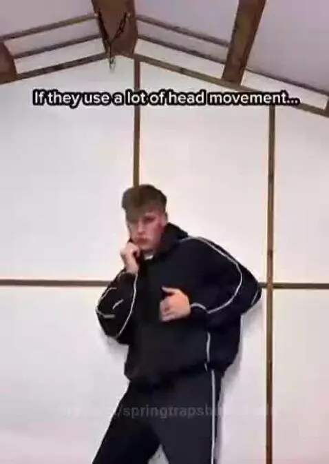 look out guys!! by springtrapsbulkyballs