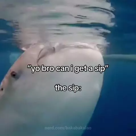 #nothing by bakabakalao