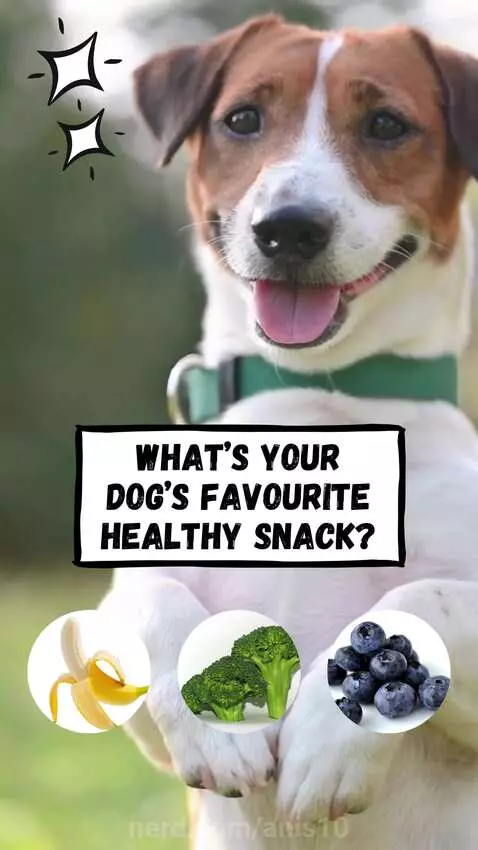 Comment below! by anis10