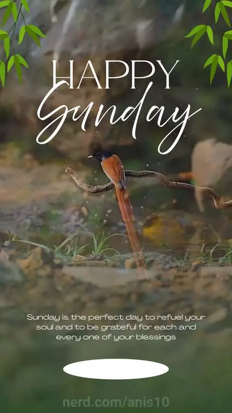 Happy Sunday! by anis10