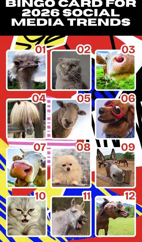 Bingoooooooooooooo by anis10