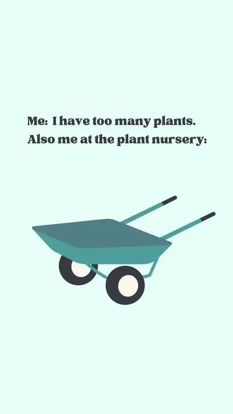 For my plant lovers out there! by anis10