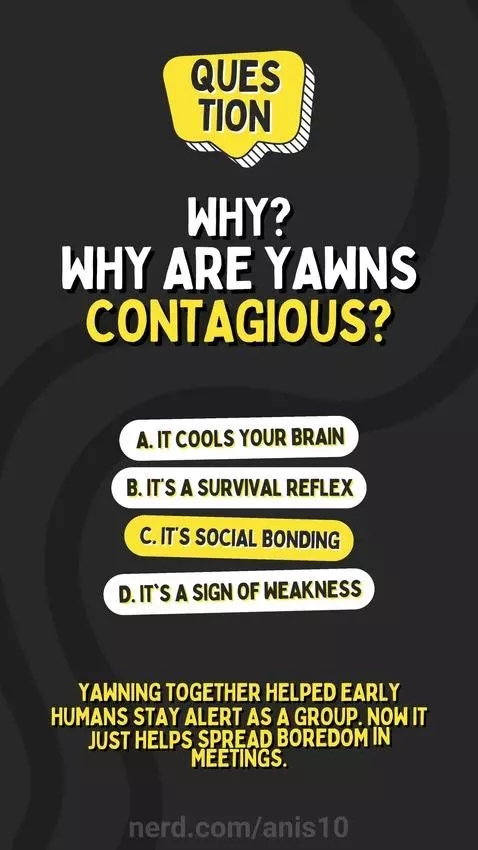 Quiz about ur life by anis10