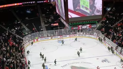 At a wild game by tristrich