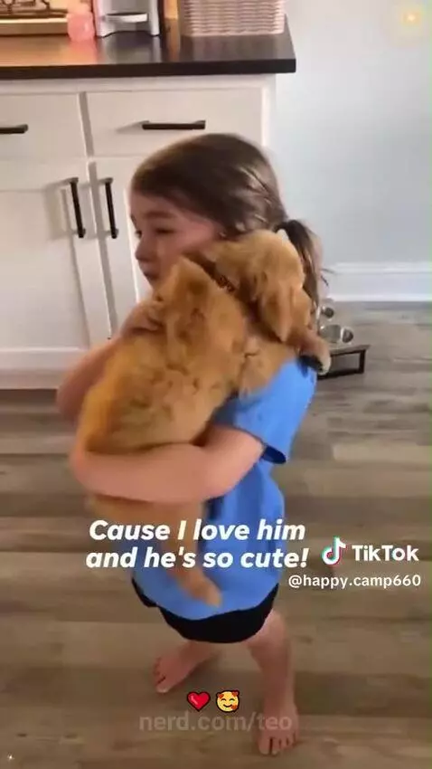Kids reacting to seeing a brand new dog by teo
