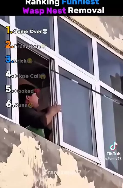 Ranking Funniest Wasp Nest Removal by teo