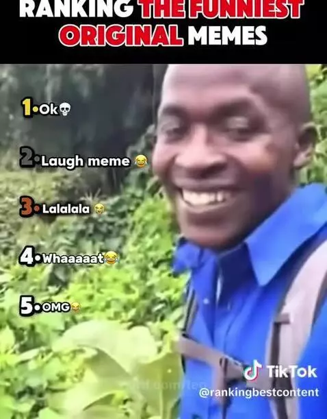 Ranking the funniest original memes by teo