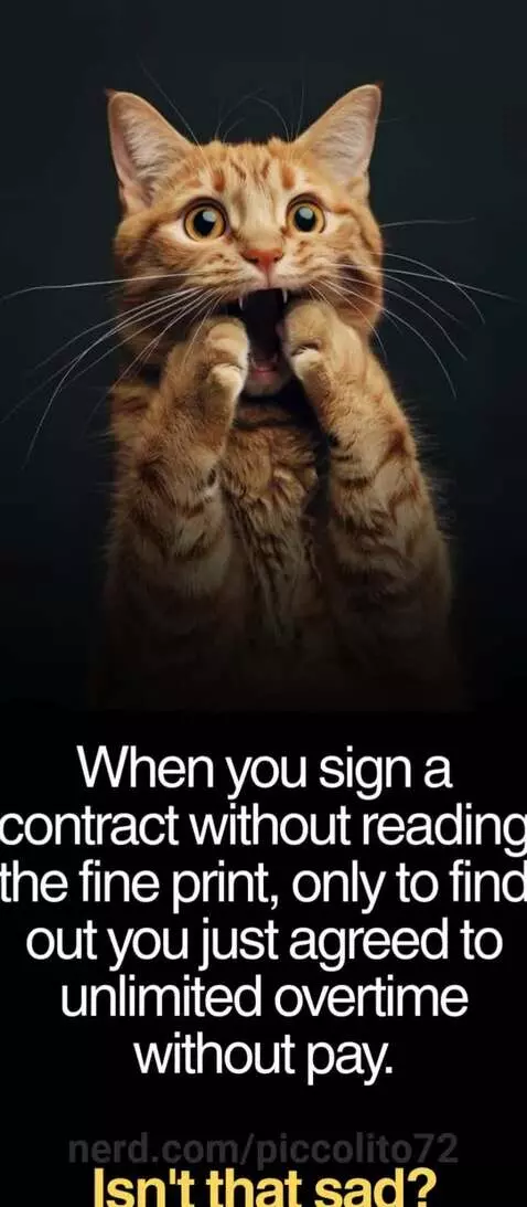 #When you were too excited for a new job by piccolito72