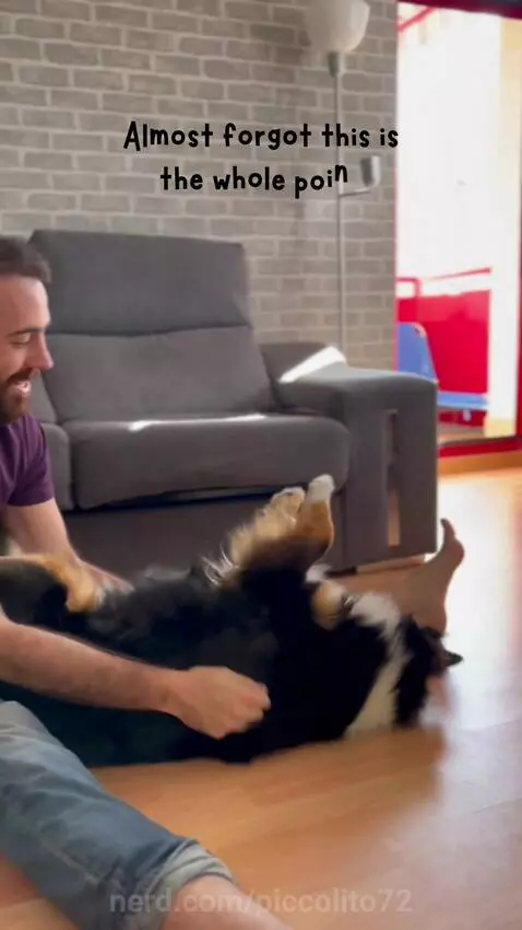 #Doggy love by piccolito72