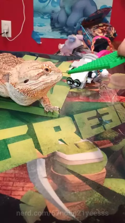 How much does it take to take off the car and get it in the ... by 67nooo21yeesss