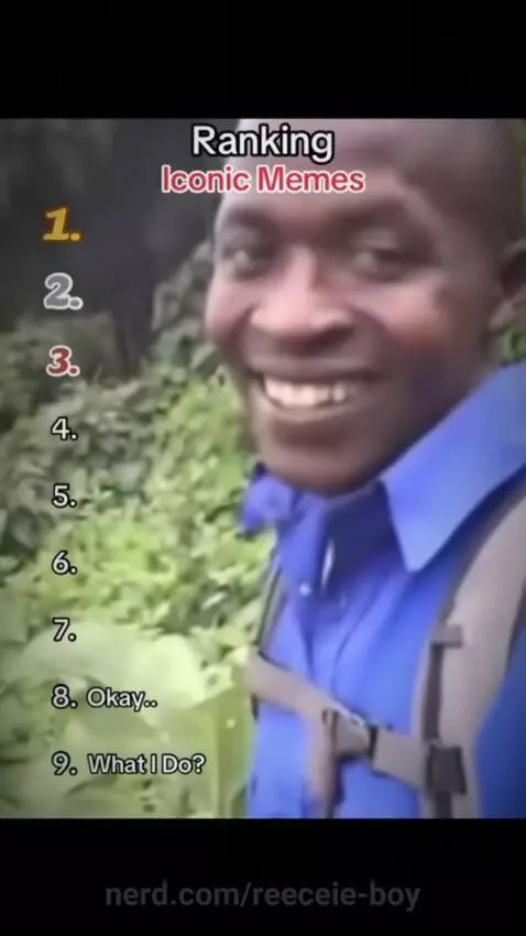 Funniest iconic memes by reeceie-boy