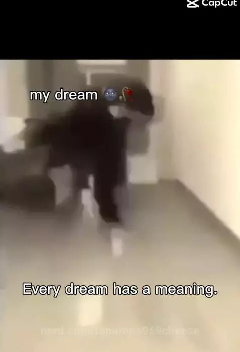 My dreams by fanumn6969cheese