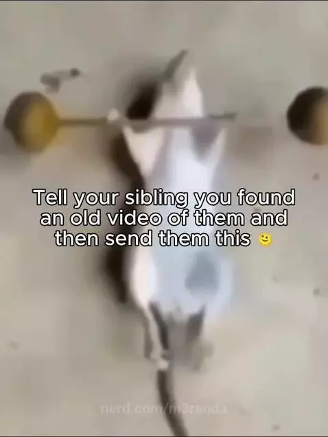 Yes Comment? by m3randa