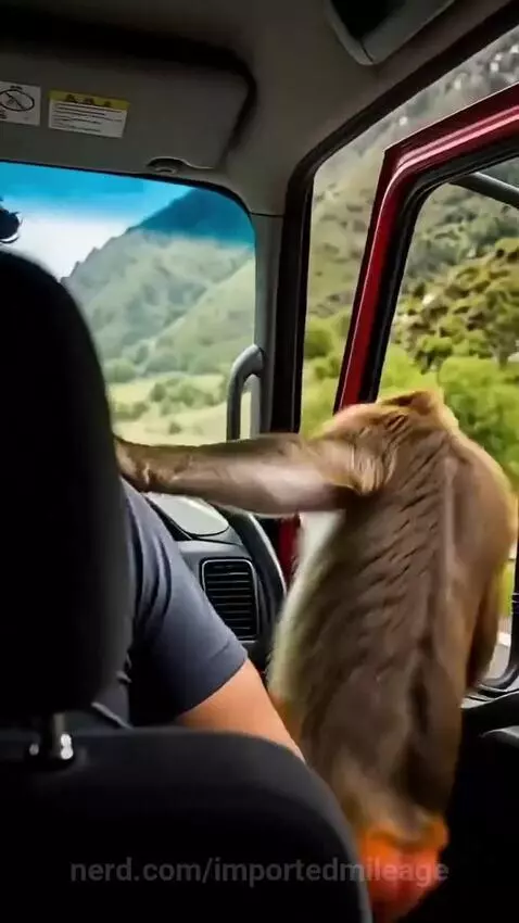 Video by importedmileage