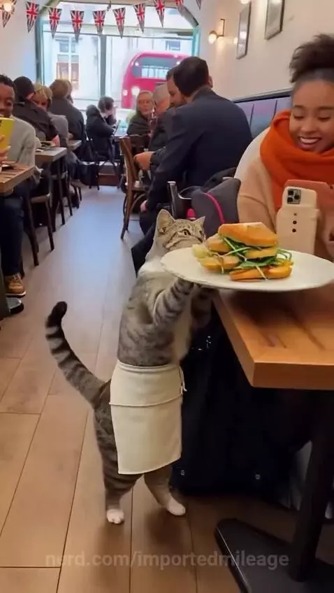 Video by importedmileage