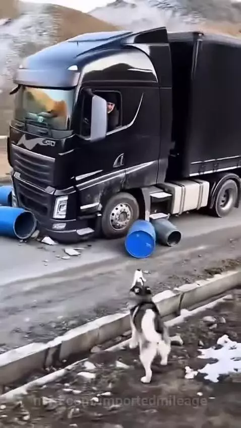 Video by importedmileage