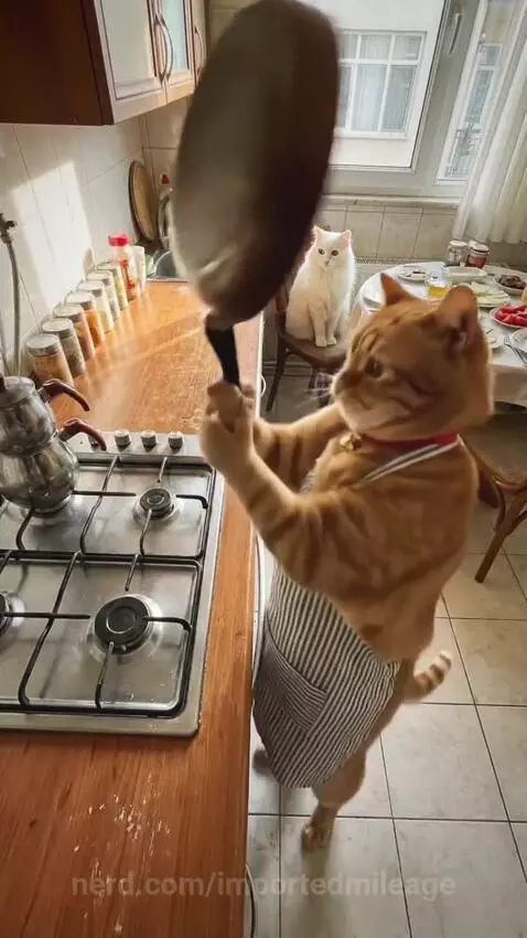 Video by importedmileage