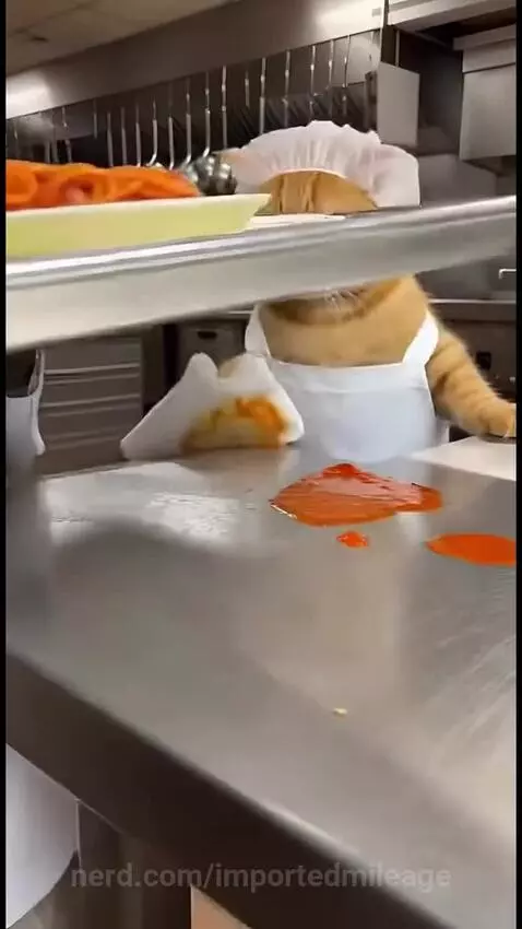 Video by importedmileage