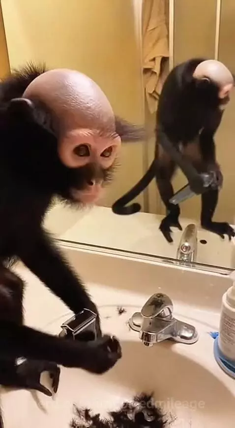 Video by importedmileage