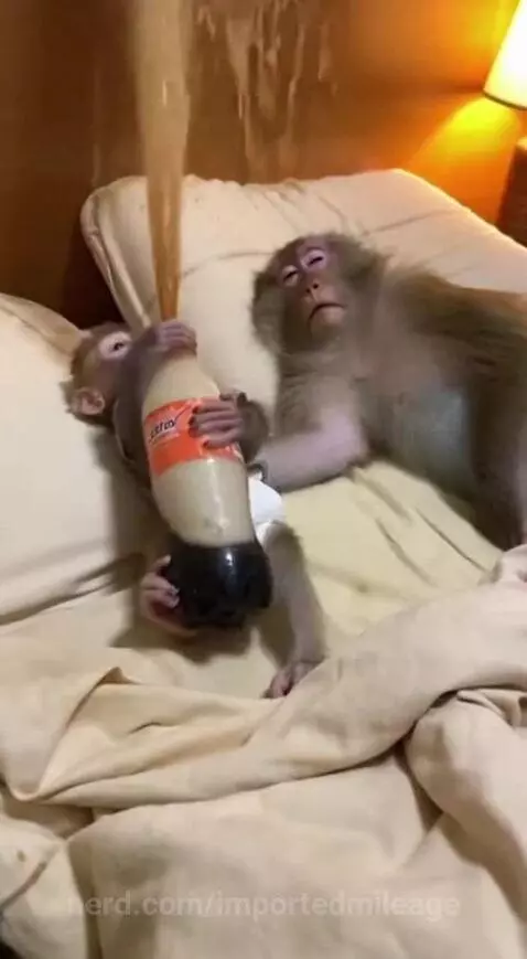 Video by importedmileage