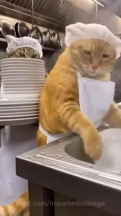 Video by importedmileage