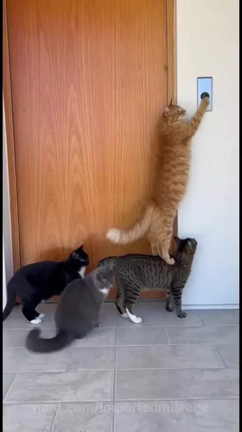 Video by importedmileage