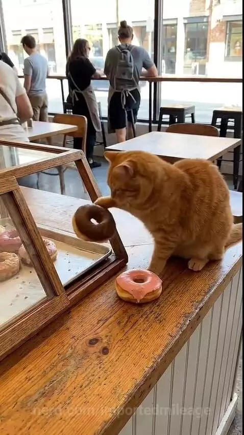 Video by importedmileage