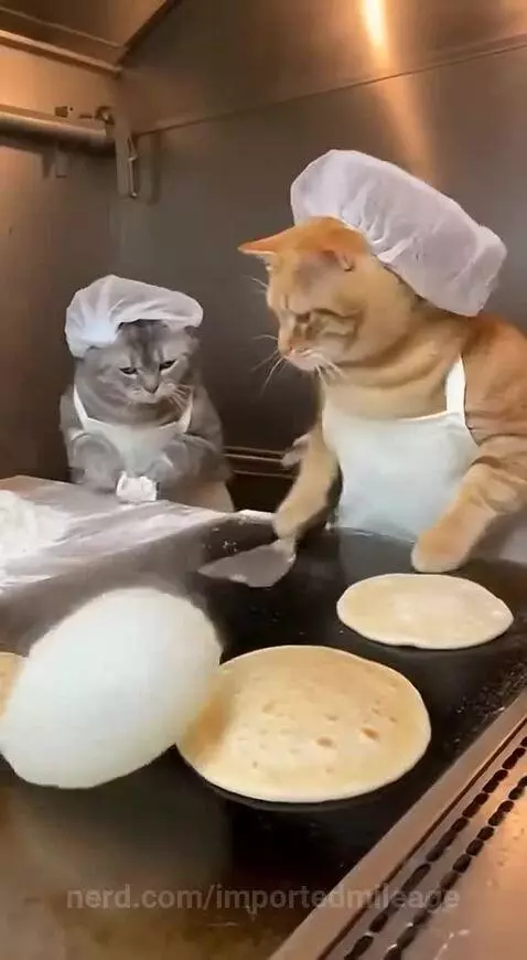 Video by importedmileage